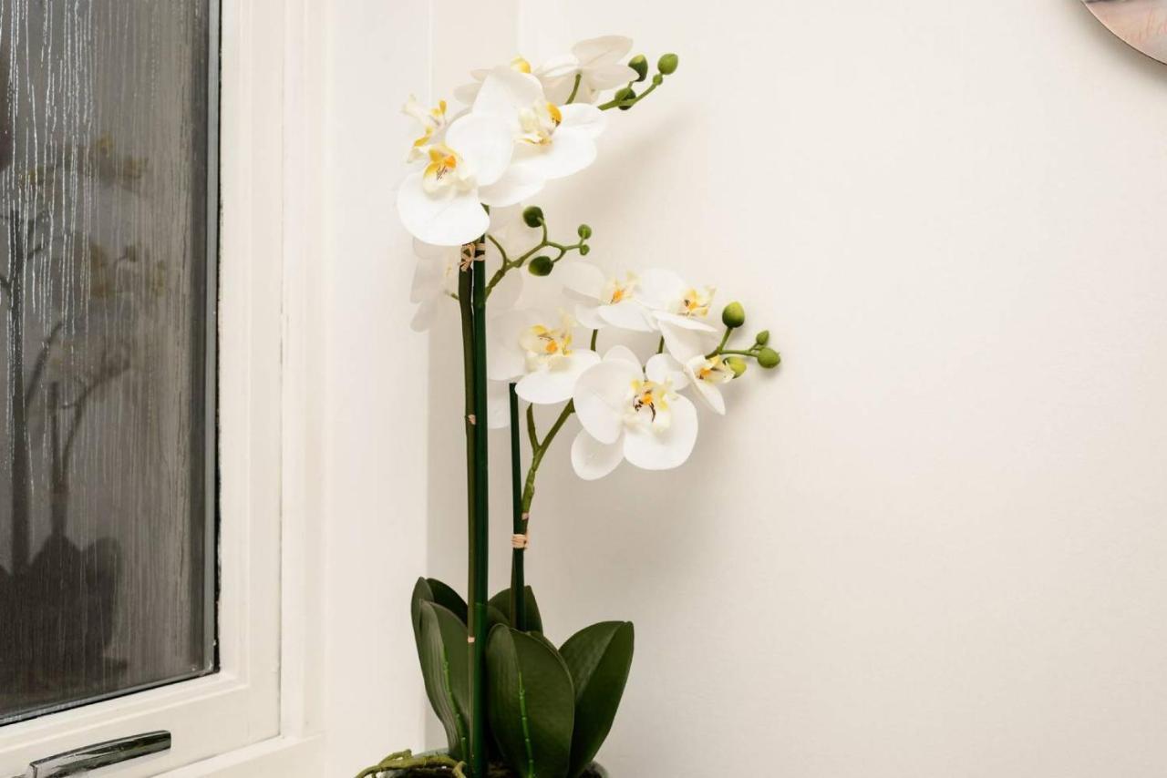 Altido Lovely Apartment For 4 With Free Parking Edinburg Exteriör bild